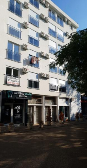 Apartman Savić